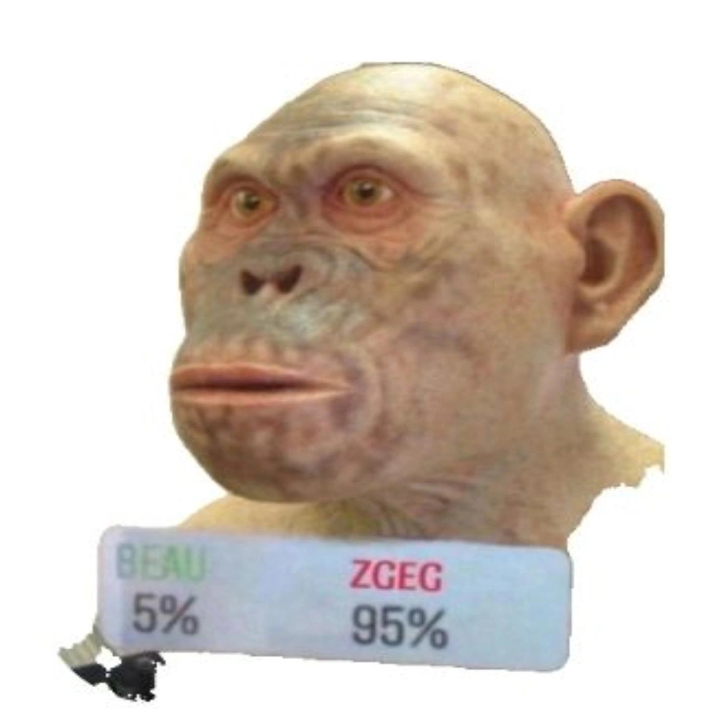aa.75K profile picture