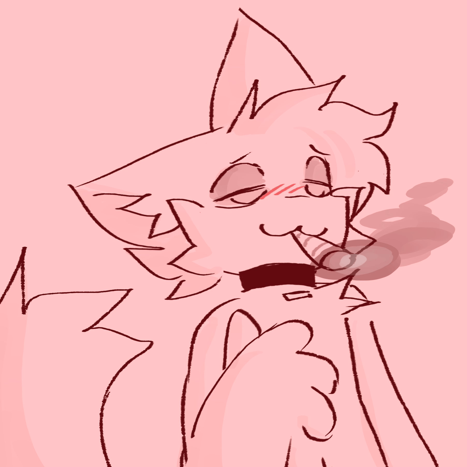 sillykisser profile picture