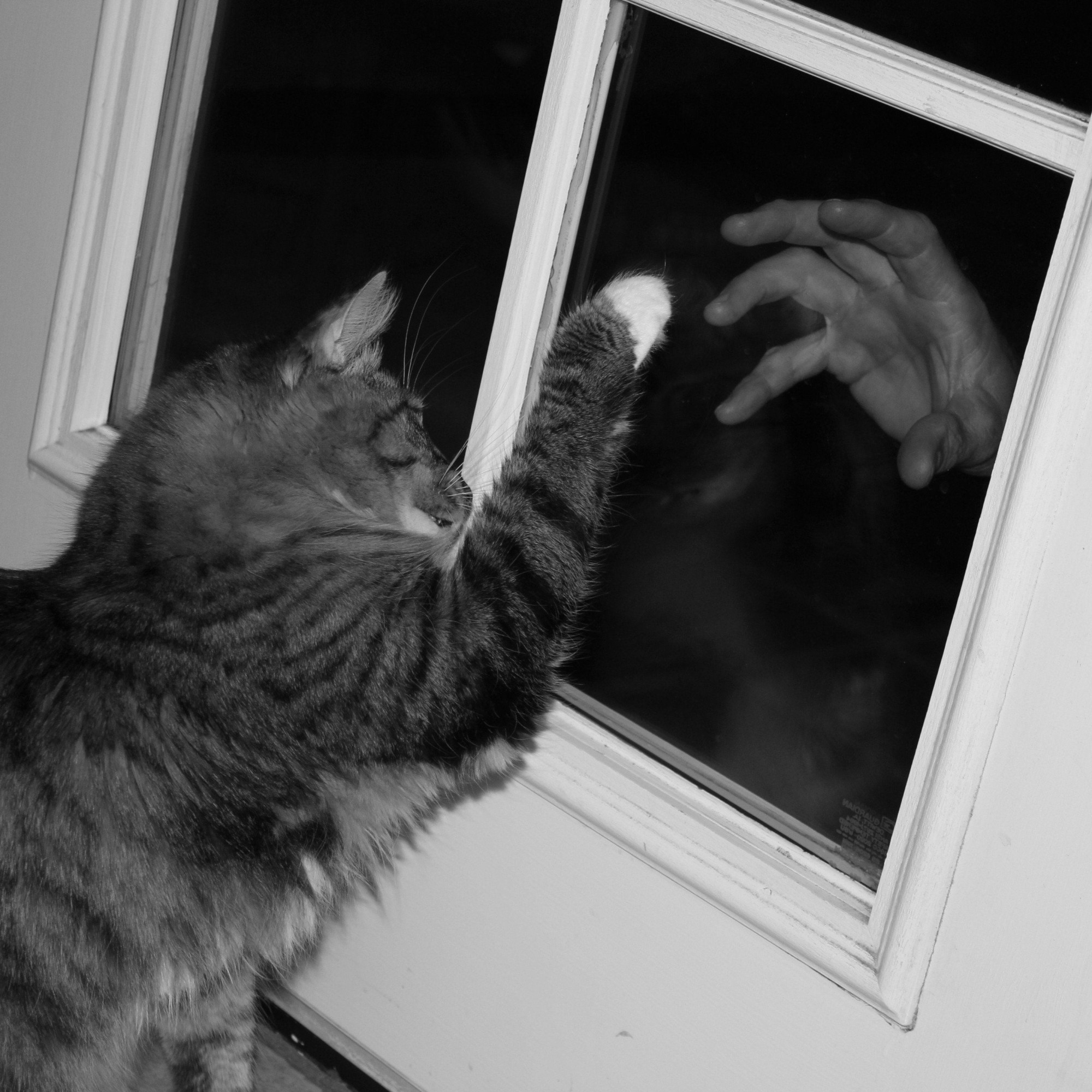 Treehero profile picture