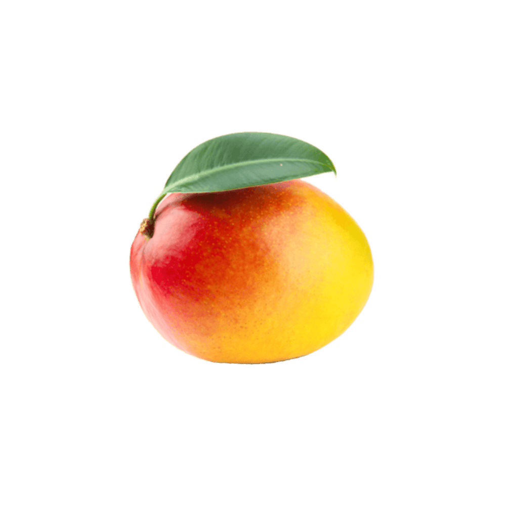 EvelynCalderon profile picture