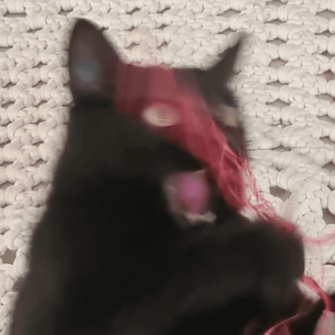 Mishi5 profile picture