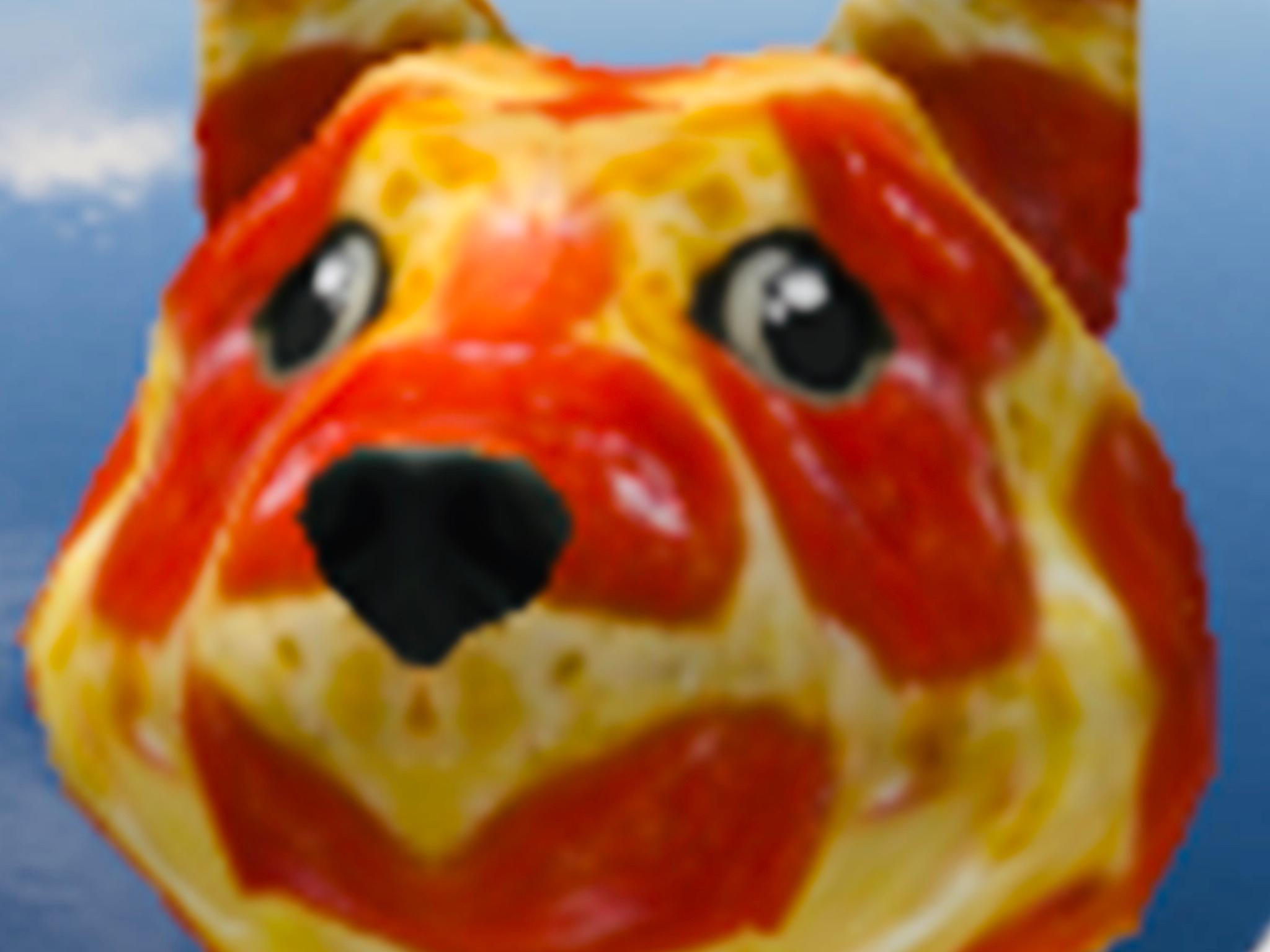 pizzadoge profile picture