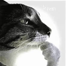 SickBrick profile picture