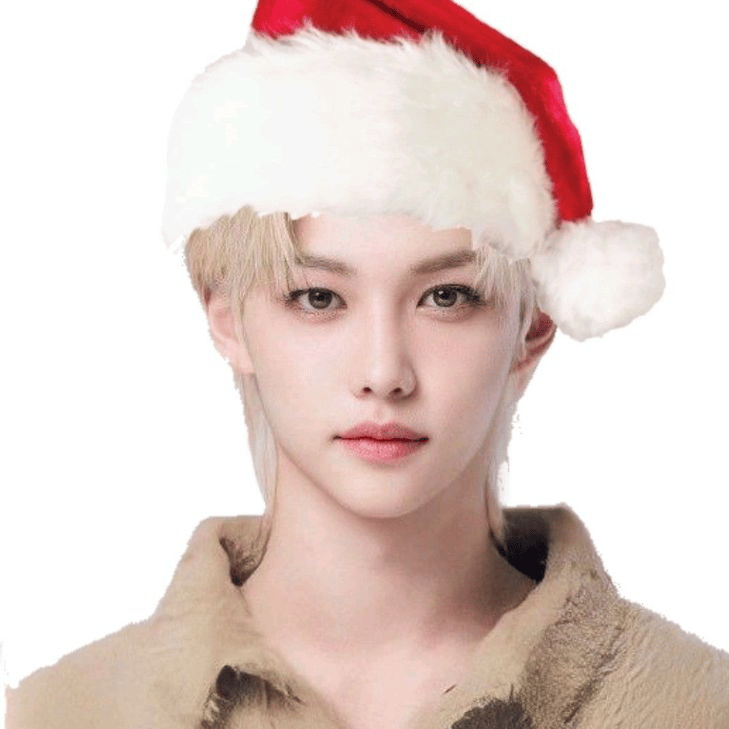Stray2025kids profile picture