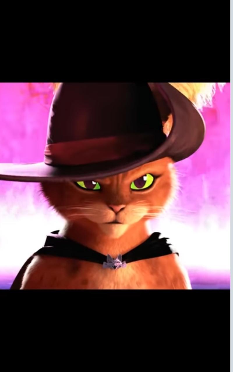 rafare profile picture