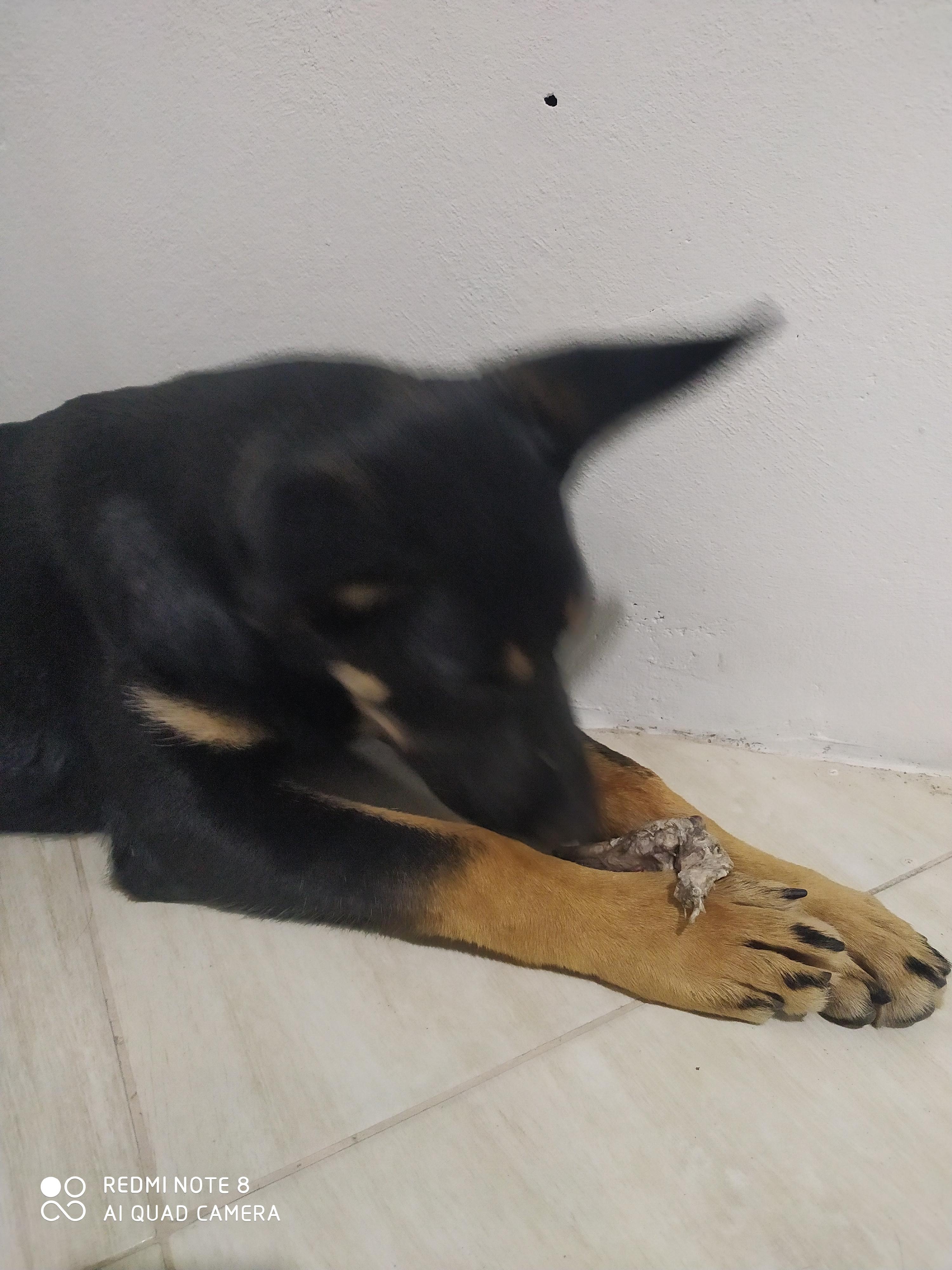 kaoo profile picture