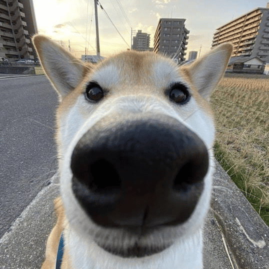 MasterCum profile picture