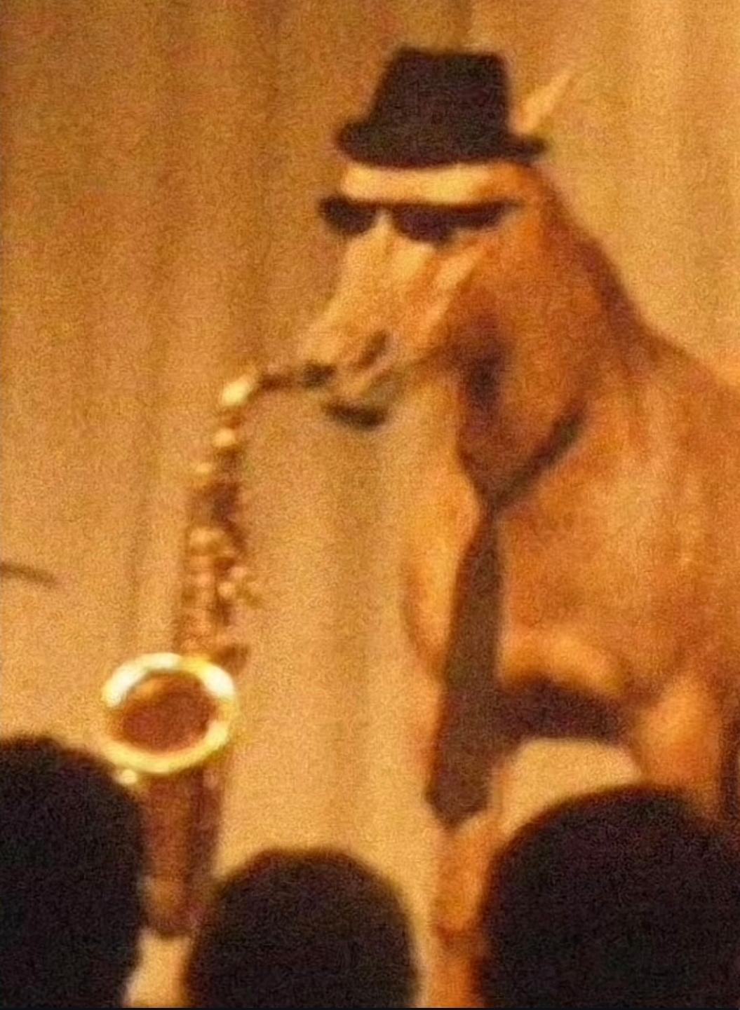 monomonkey1 profile picture