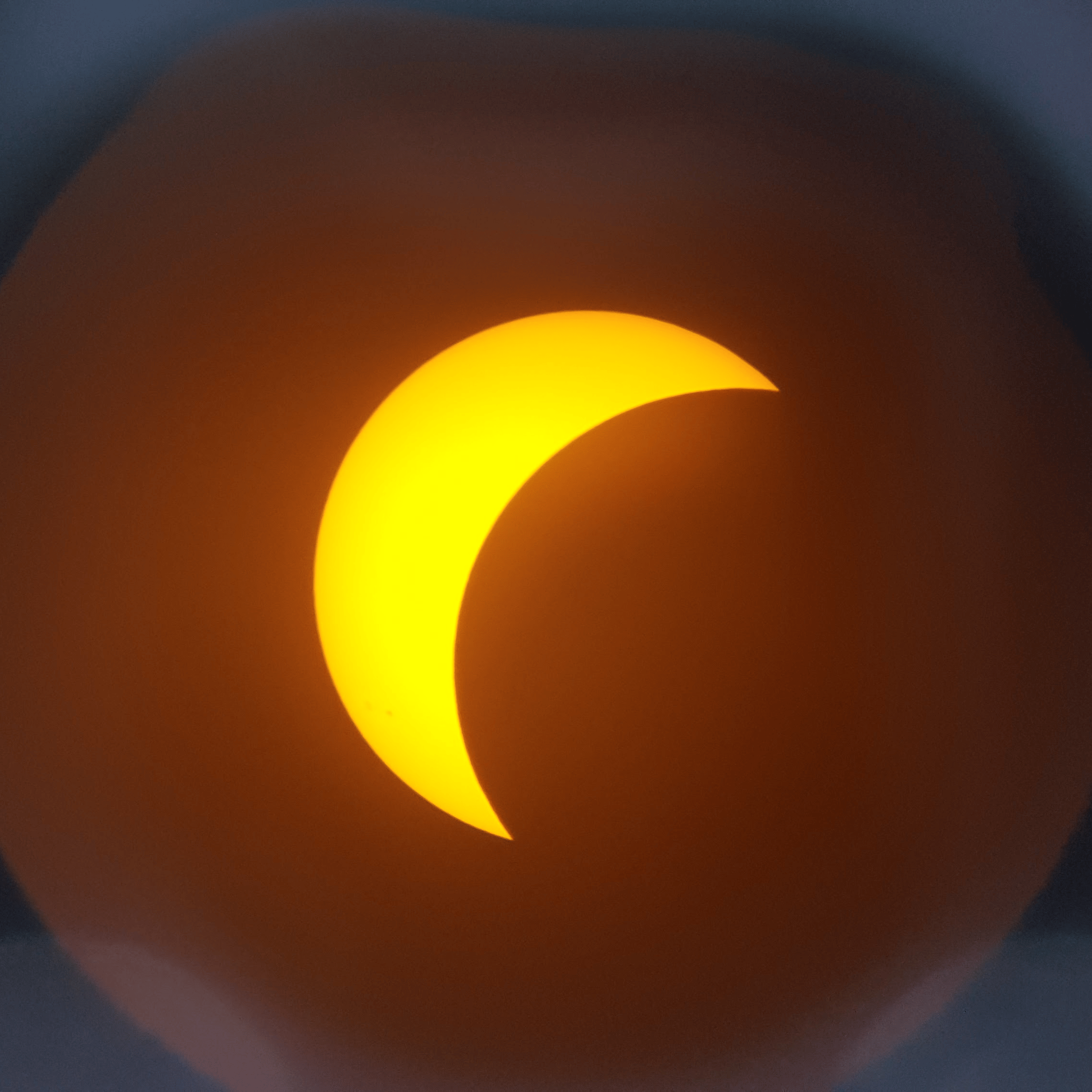 CrescentSun profile picture