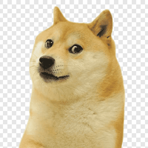 Doggyfront profile picture