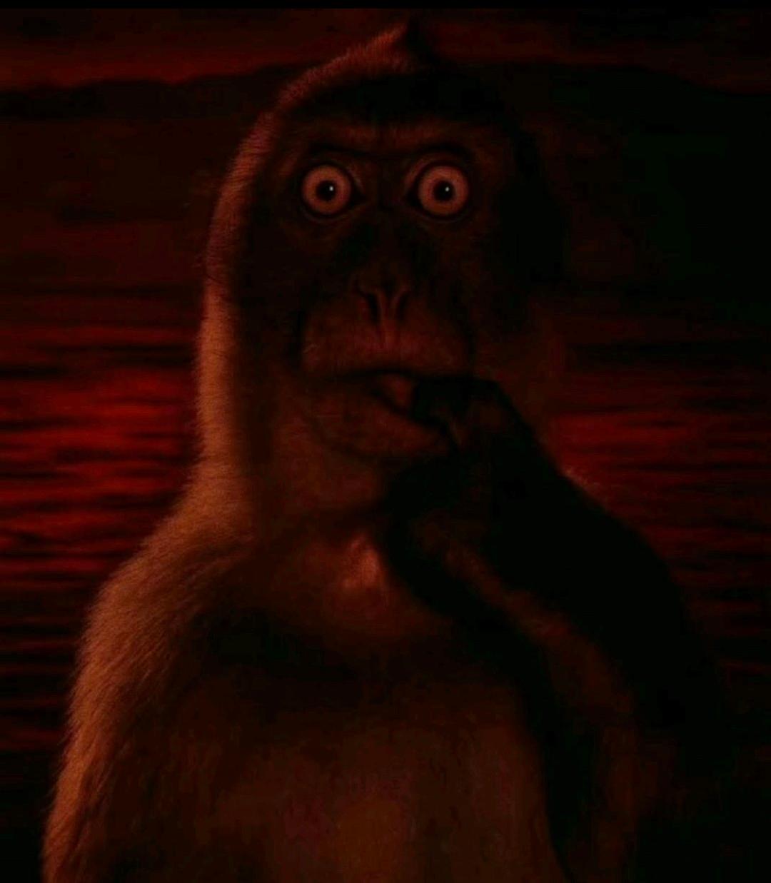 RandoLaPotato profile picture