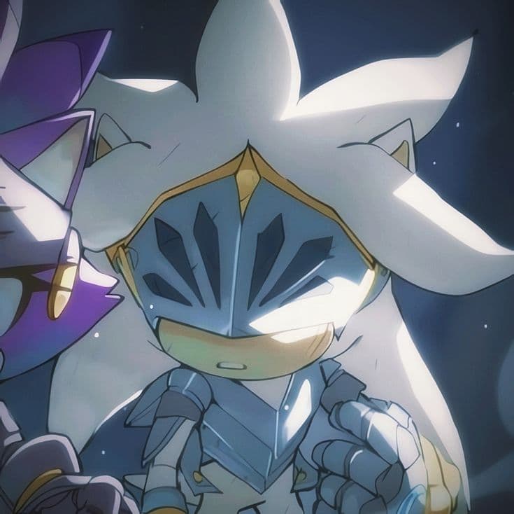 sonicjeje profile picture