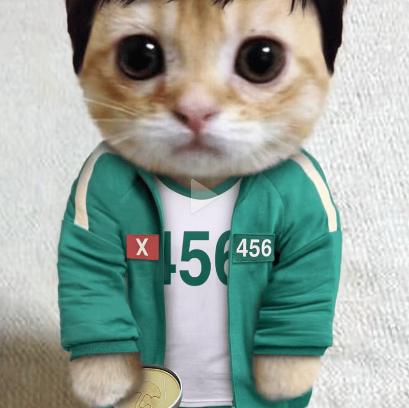 ss456 profile picture