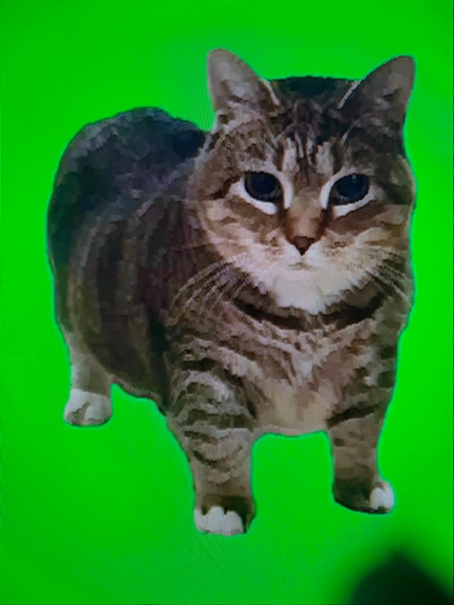 larrythemouse profile picture