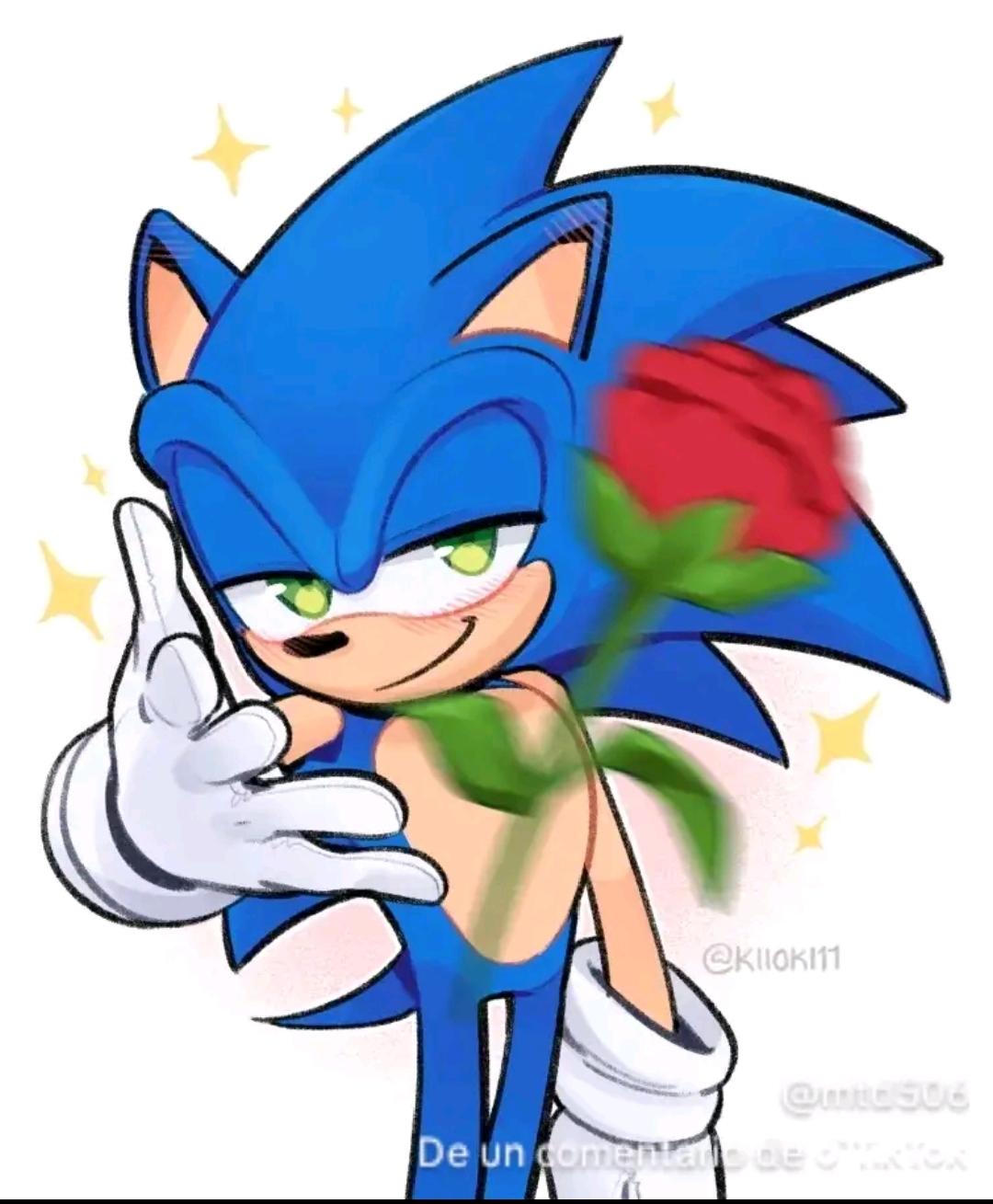 2006sonic23 profile picture