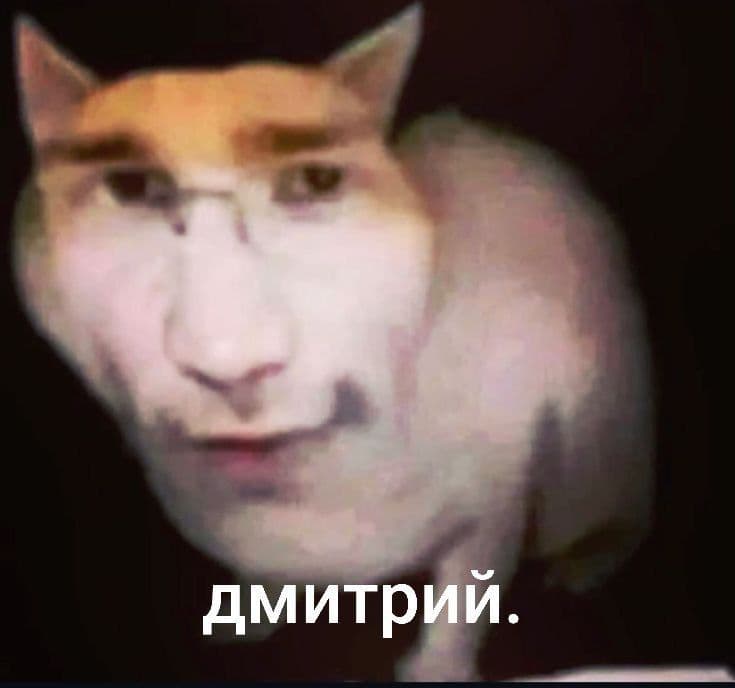 pidorgggggds profile picture
