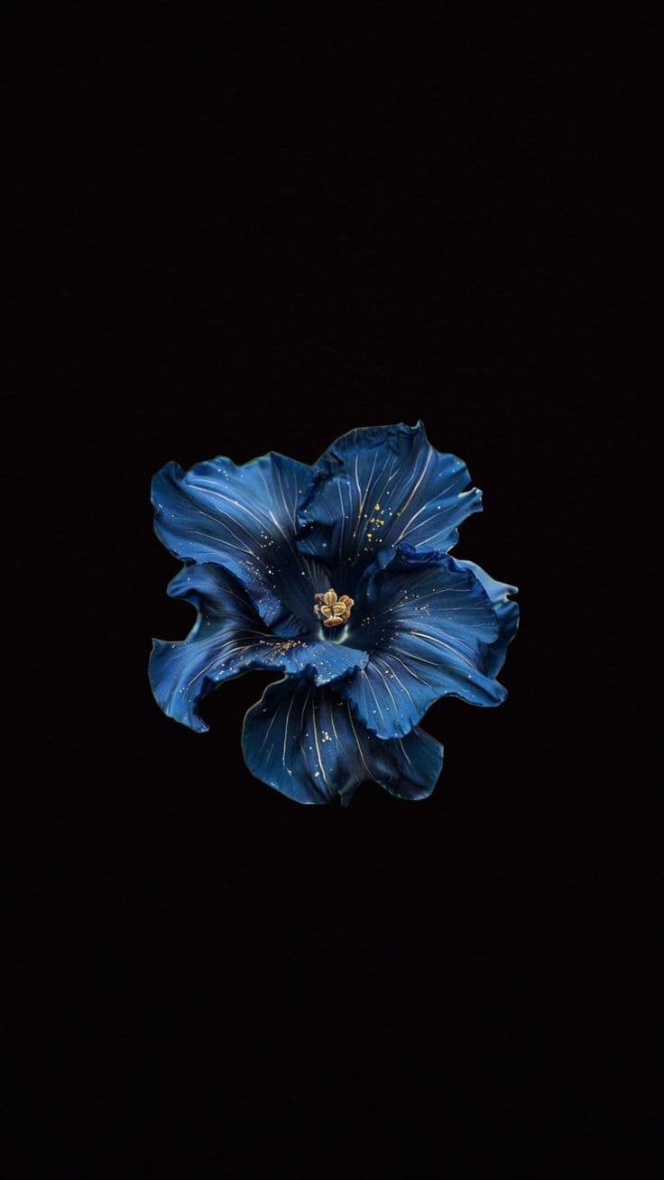 愛┃𝐀𝐲𝐝𝐚𝐧 profile picture