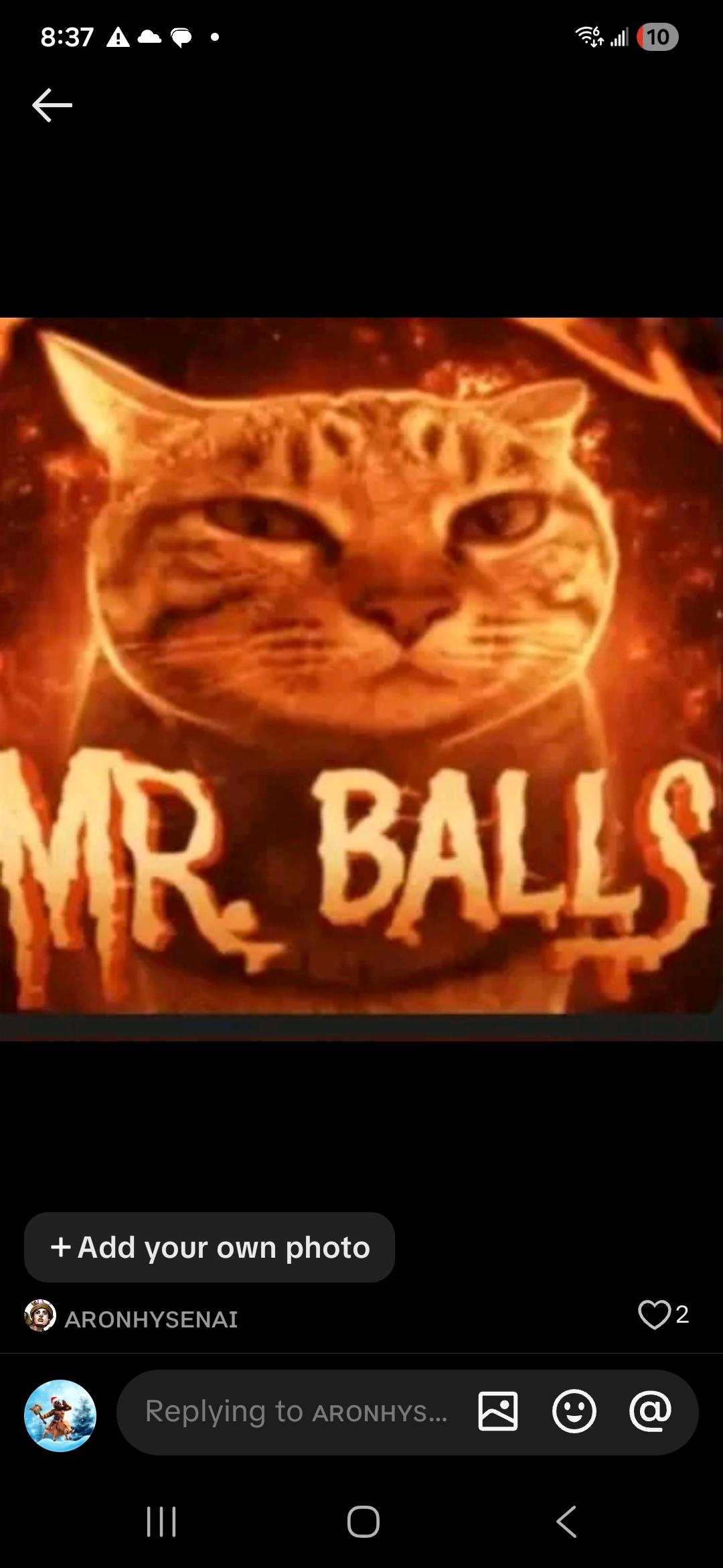 mr.balls profile picture