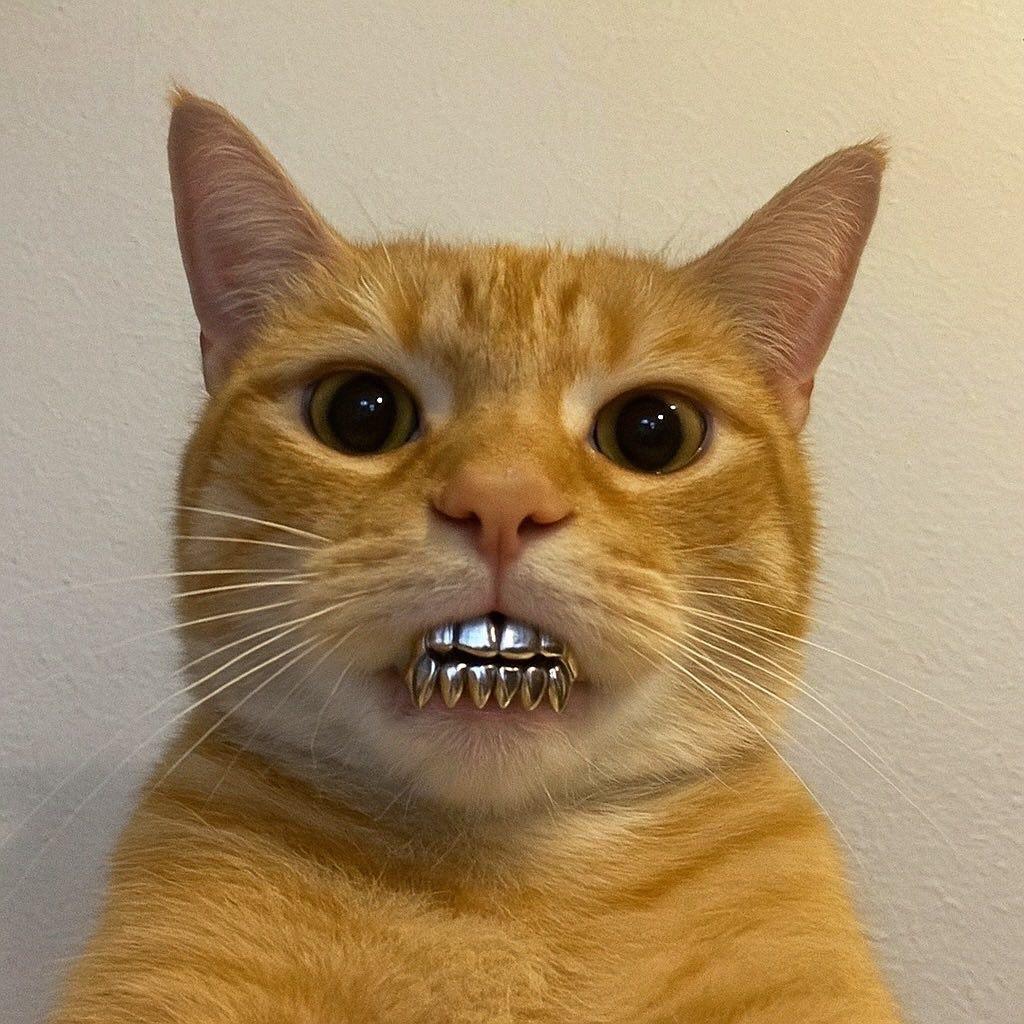 s1_7 profile picture