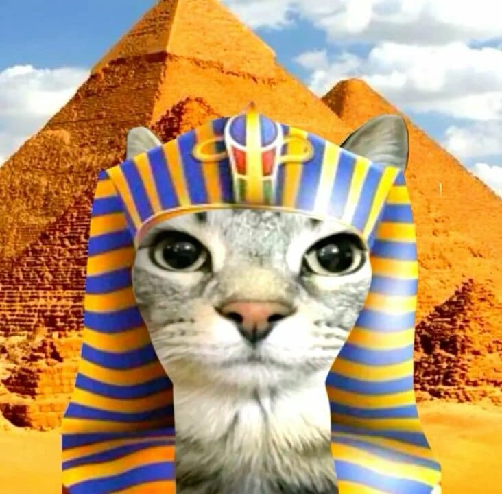 dj_Egyptianin profile picture