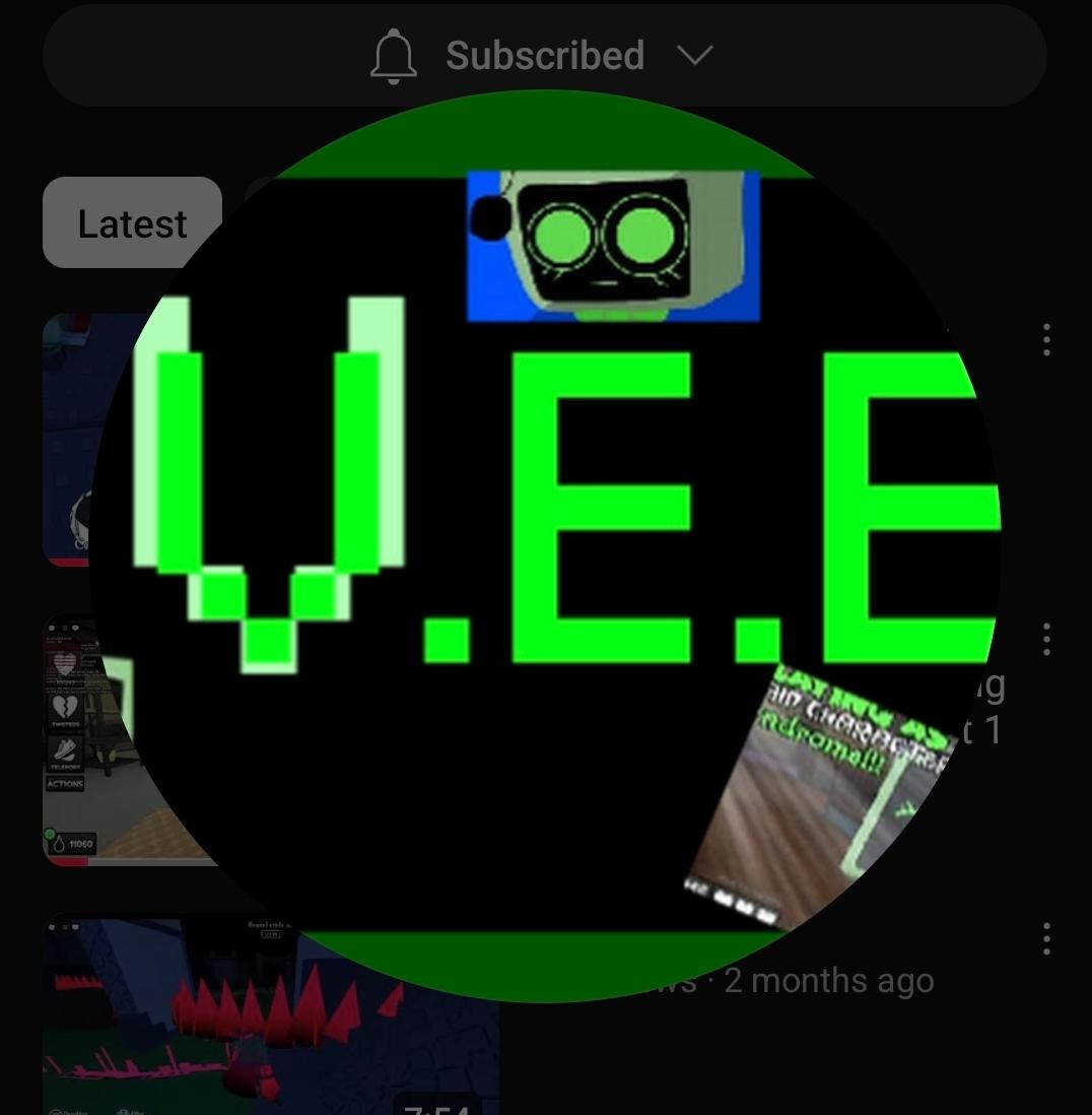 VeeBlox profile picture