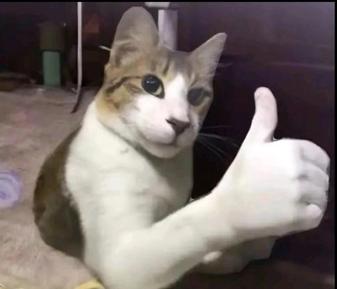 Mcstinkyy profile picture