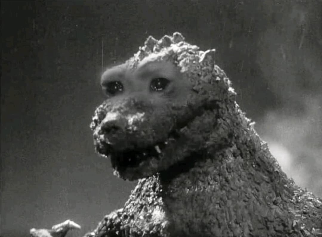 datgodzillaboi profile picture