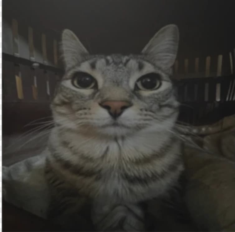 BigMikeDraco profile picture