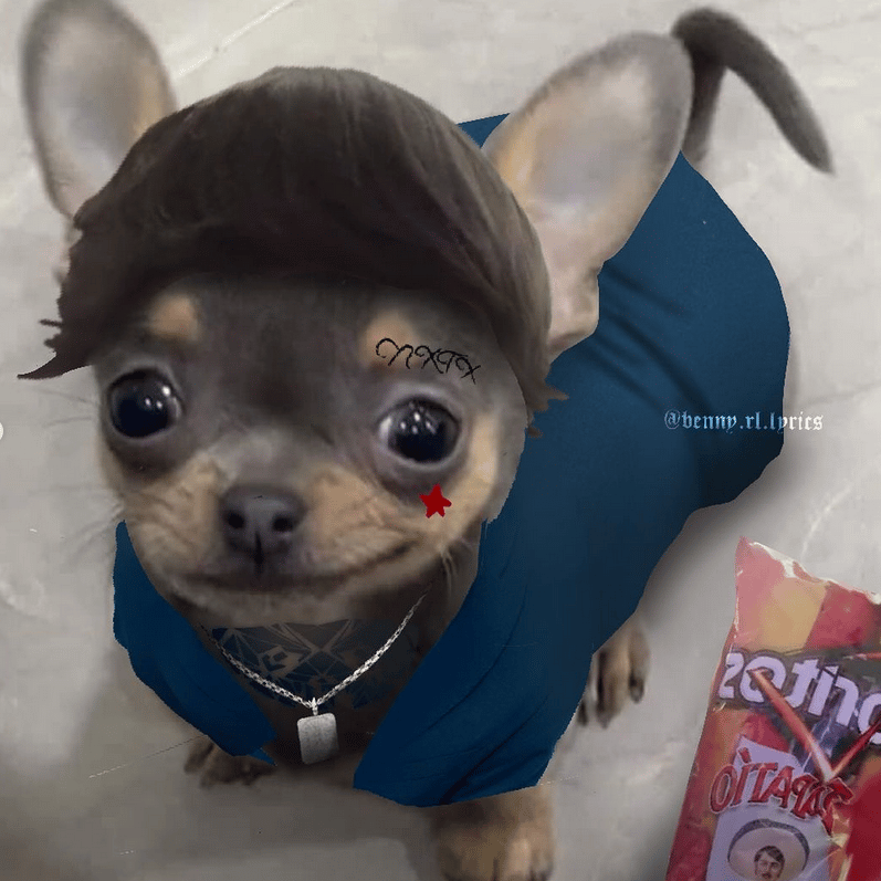 Saikyu profile picture