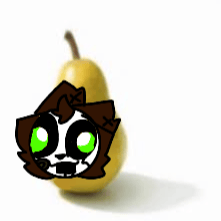 SashD4Cat profile picture