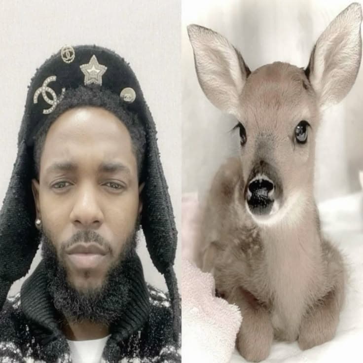 C-Dott profile picture