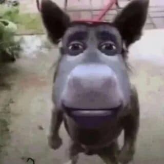 MCИШАК profile picture