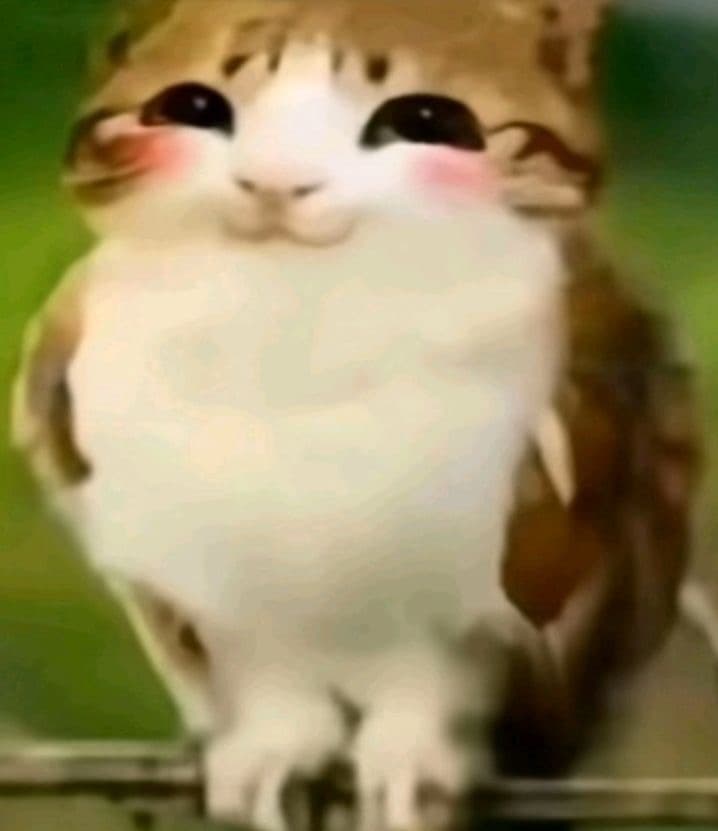 chickenbutt6767 profile picture