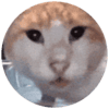 fancody profile picture