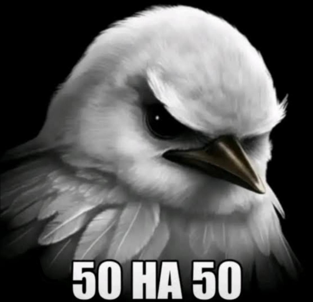 Mr.Soda profile picture