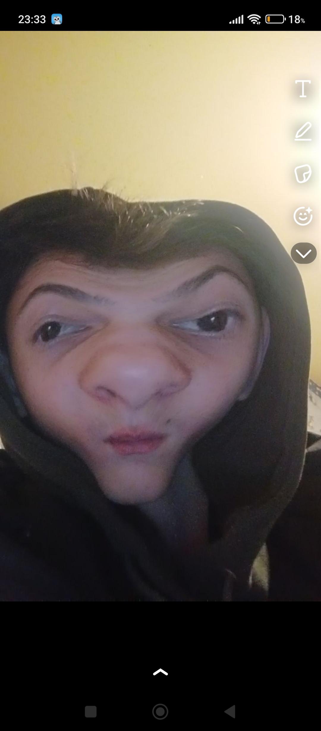 stda profile picture