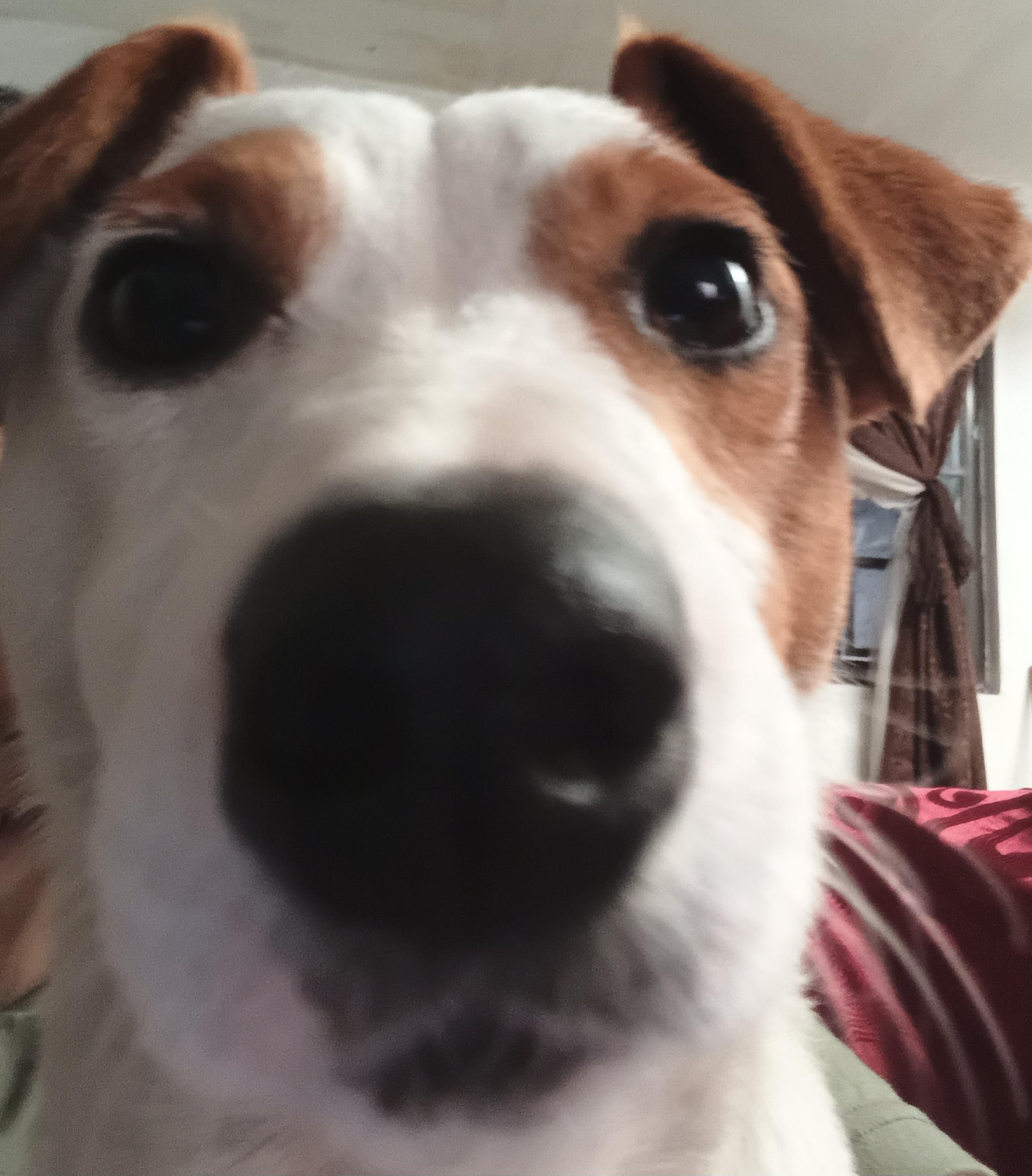 unon profile picture