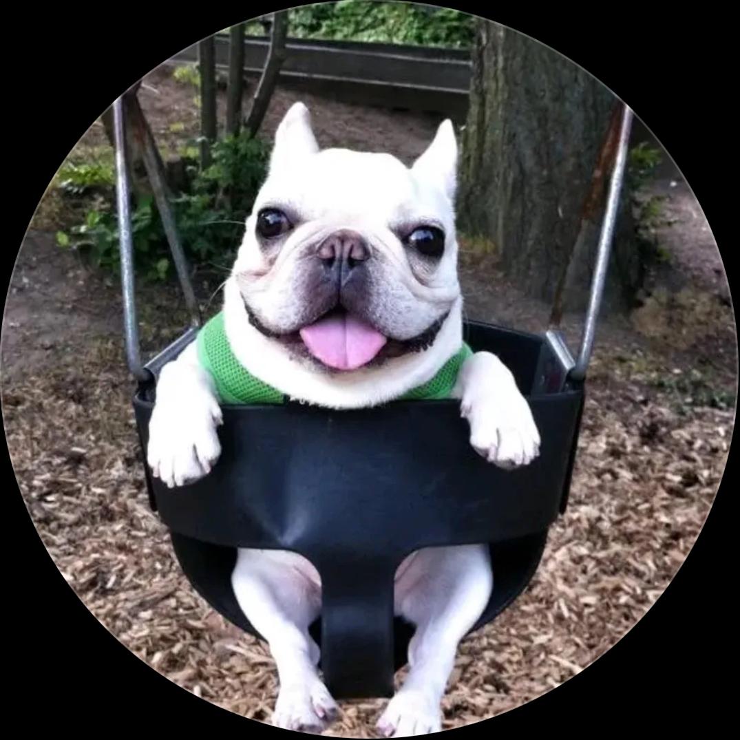 voxku profile picture