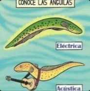 elpepe20875 profile picture