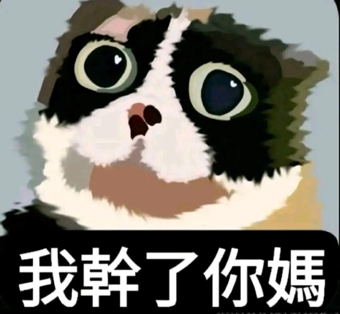 q0dzn profile picture