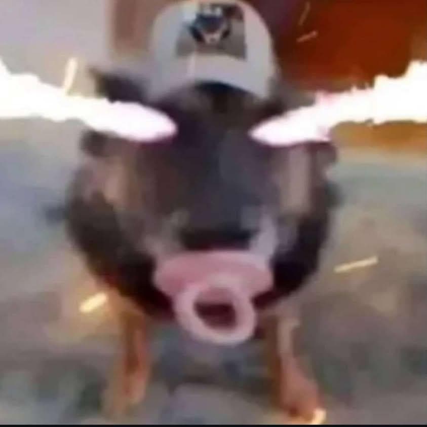 Jason452 profile picture