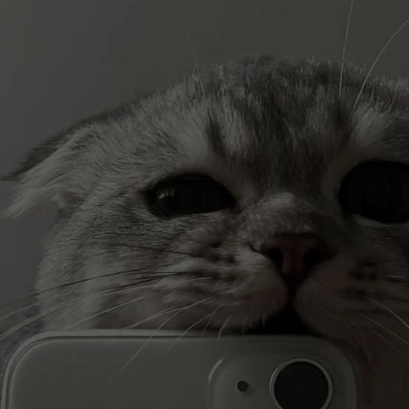 NightNx profile picture