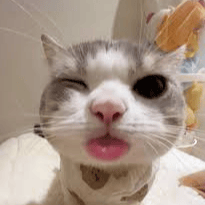 YEAHHHH564 profile picture