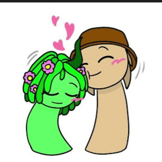 Tuneria profile picture
