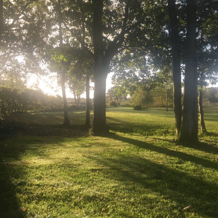 Sonya profile picture
