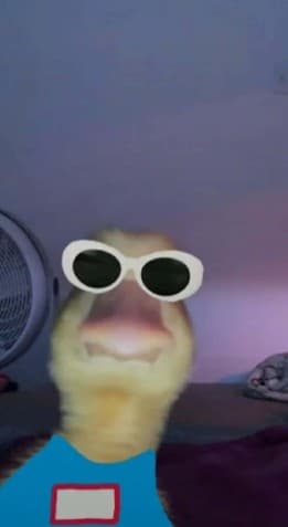 Shlug profile picture