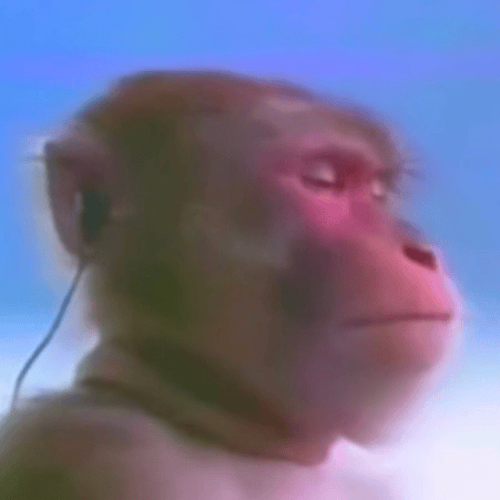 Voice AI Voice