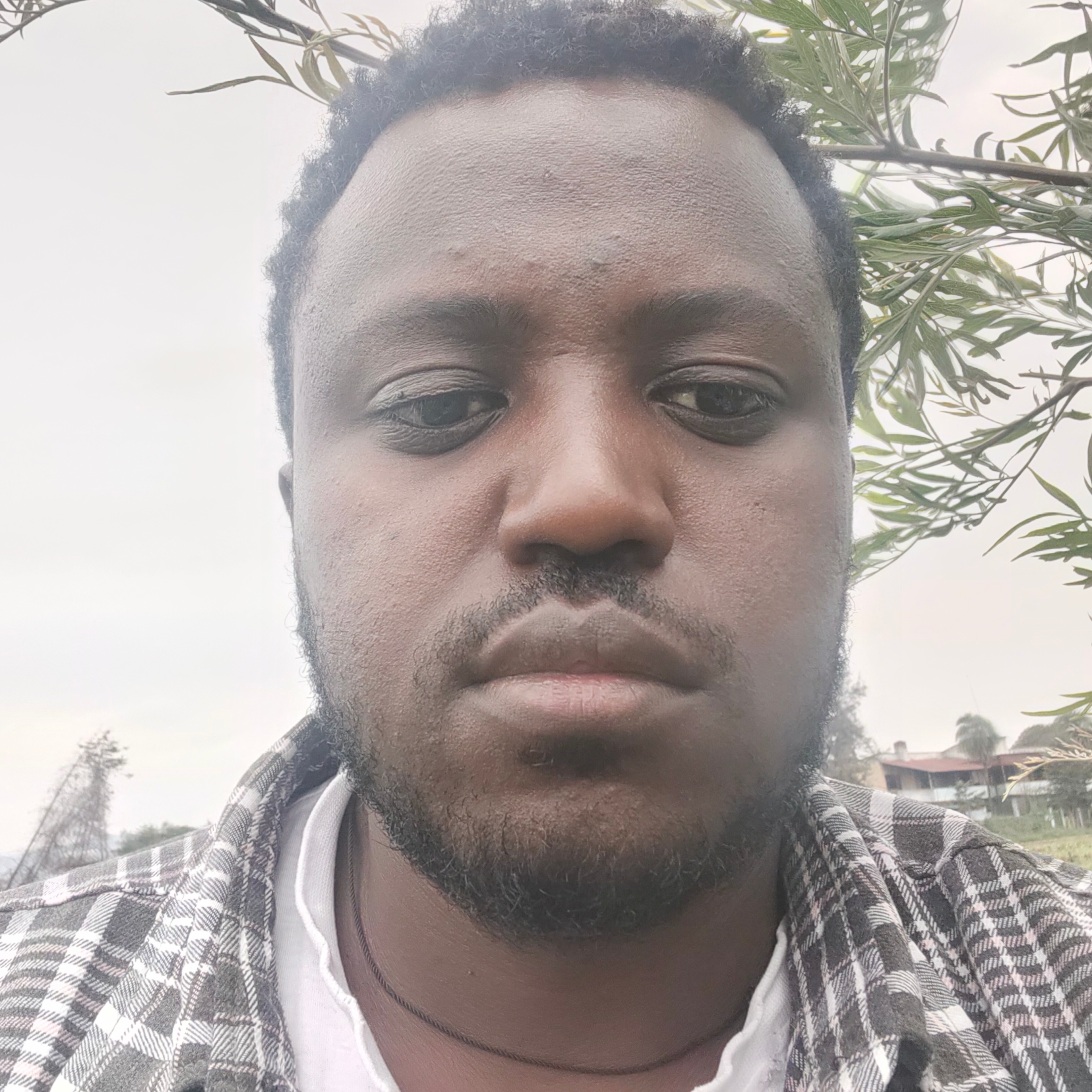 Voice AI Voice