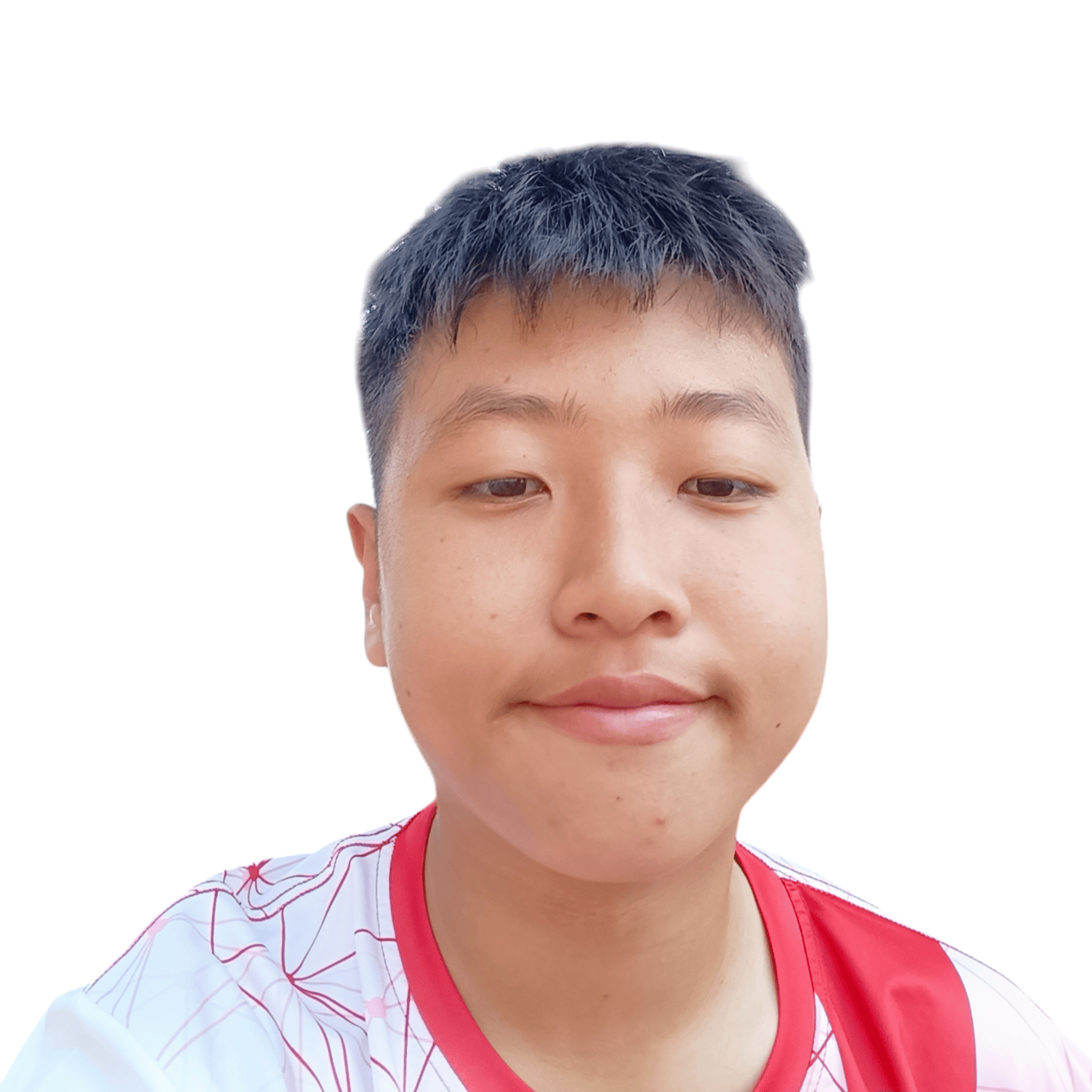 Voice AI Voice