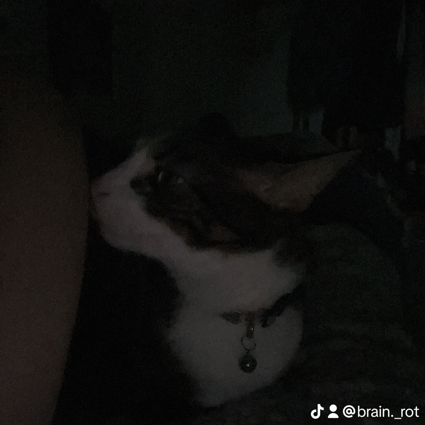 undefined Image